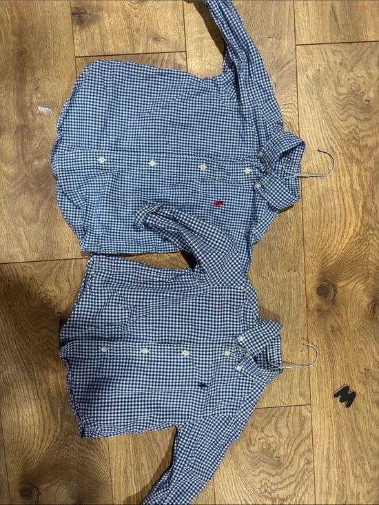 Ralph Lauren Blue and White Gingham Button-Down Shirt Lot (2)
