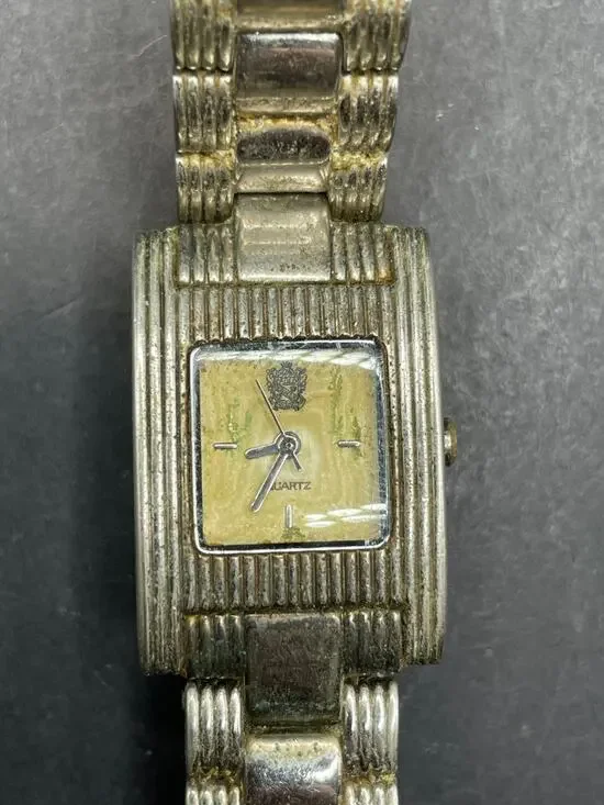 Vintage Rare Paolo Gucci Silver Tone Women's Quartz Watch PG845WS 21mm