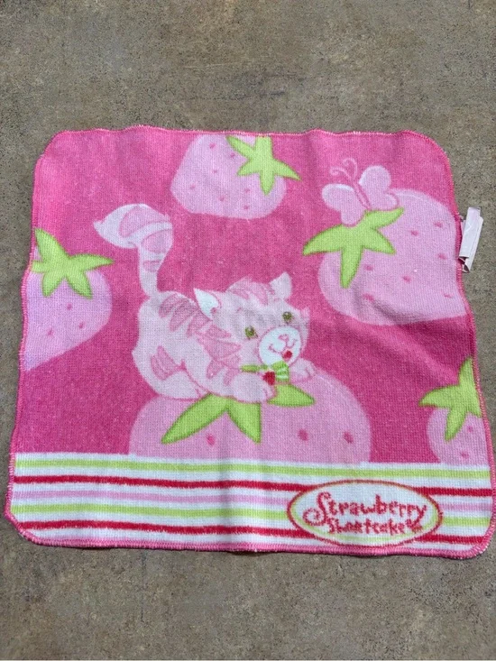 Strawberry Shortcake Custard The Cat 2003 Y2K Vintage Washcloth Kidcore