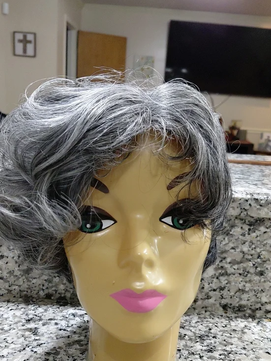 Short Gray Women’s Synthetic Wig - Modern Layered Style Sis Heat Resistant Fiber