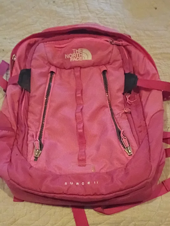 The North Face Surge 2 Pink Backpack