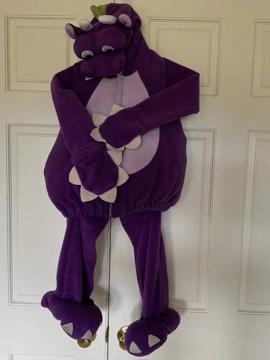 Kids Costume (5T) Flying Dragon 2 piece Purple Jacket and Pants Old Navy