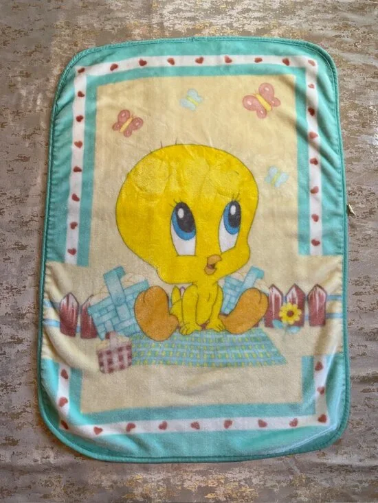 Vintage 2001 Baby Tweety Bird Looney Tunes Crib Blanket Plush Infant 28x42 Y2K