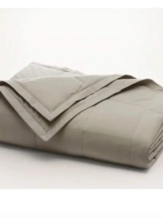 Down Alternative Quilted Bed Blanket