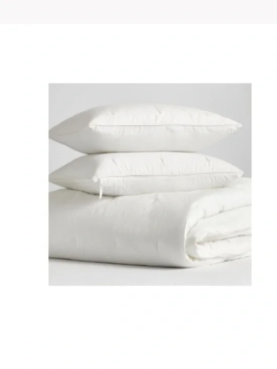 Pottery barn Silas comforter king white