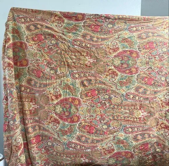 Pottery Barn Rosalie Warm Paisley king Duvet Cover Plus one EURO Sham