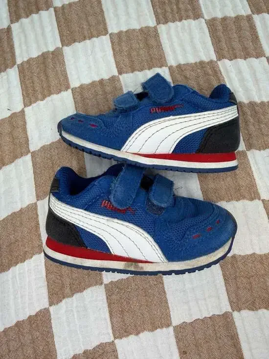 Puma Sneakers Blue White Red Toddler Shoes Hook And Loop
