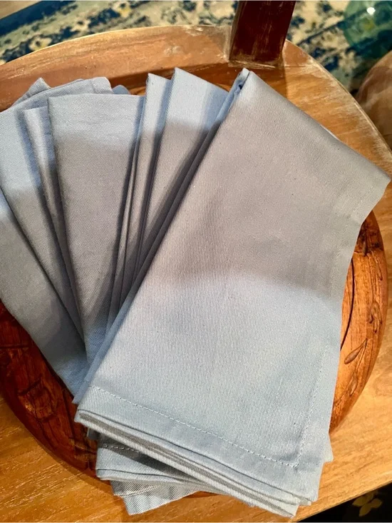 Pier 1 NWOTS light blue set of 4 cotton napkins w/4 Pier 1 NWTS napkin holders