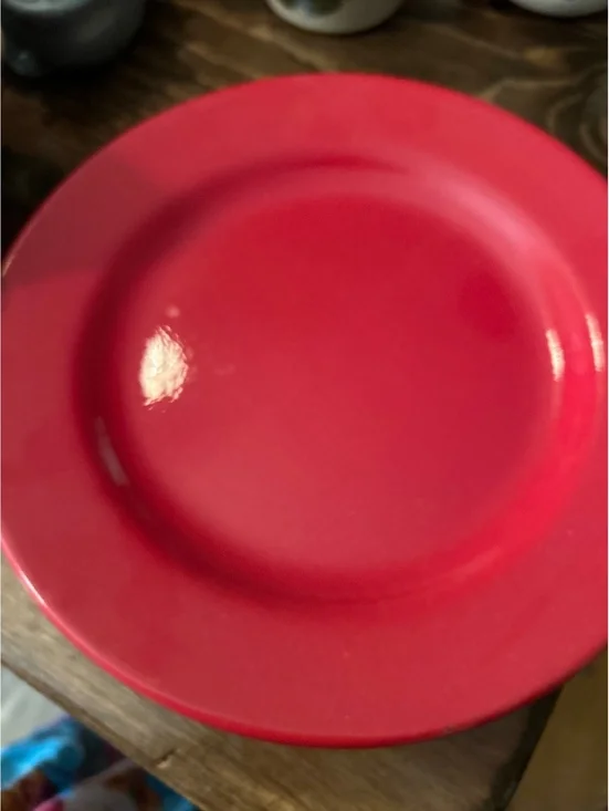 Pier 1 Exclusive Red Earthenware Plate