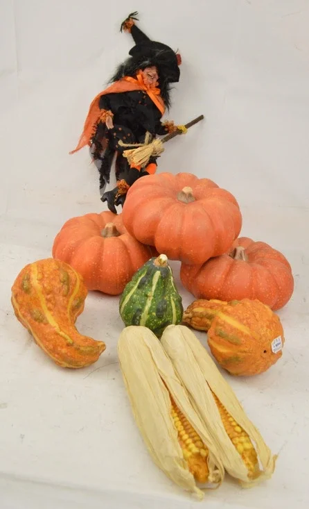 Pier 1 Fall Halloween Decor Lot Pumpkins Gourds Corn Witch Doll Autumn Harvest