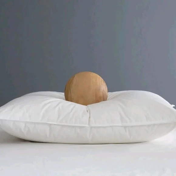 NWOT- Quince Standard White Duck Down Premium Pillow (Medium)(P34)