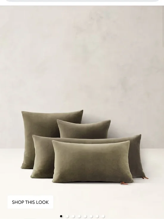 Qty 2 BR Home Velvet Timeless Pillow + Insert