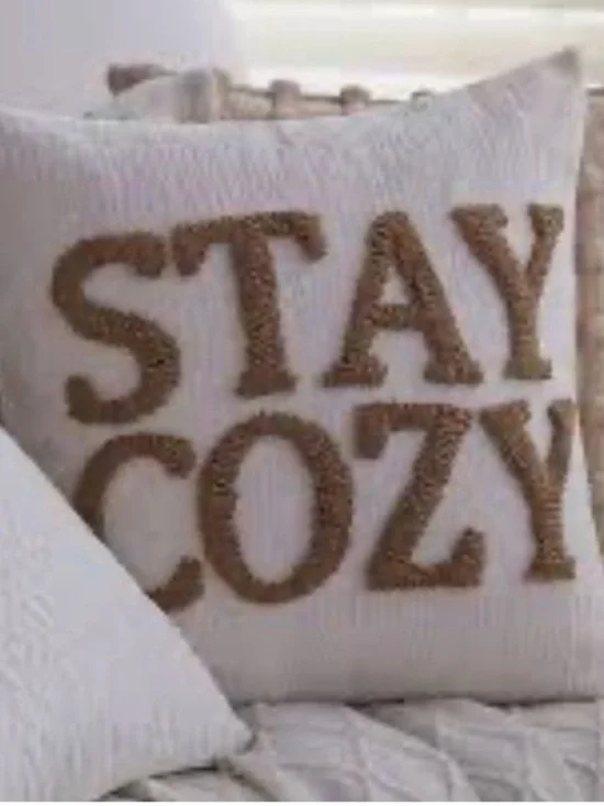 NWOT Stay Cozy Teddy Faux Fur Appliqué Pillow Cover