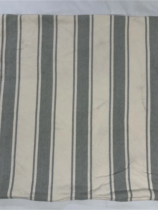 Pottery Barn Gray Green Antique Stripe Print Pillow Cover 24”x 24” Zipper