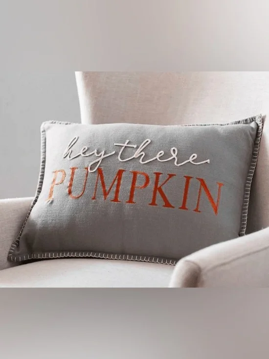 Like New “Hey There Pumpkin” Embroidered Decorative Pillow