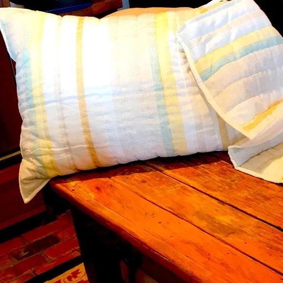 Threshold standard size pillow shams (2)