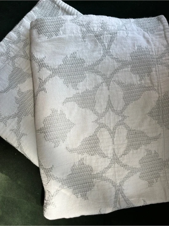 Pottery Barn Lilo Standard Pillow Shams – Set of 2 – Light Green/Blue