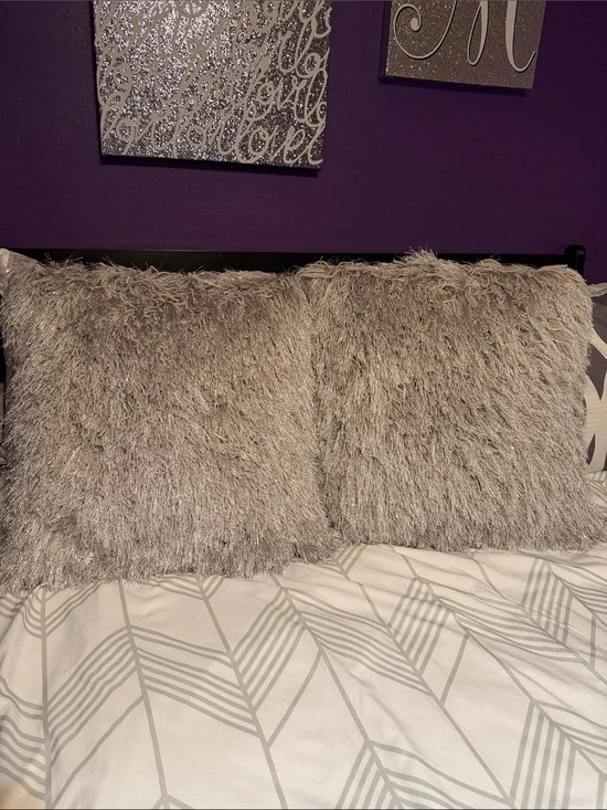 Safavieh Plush Decorative Pillows - Gray Shimmer NWOT 2 Pillow set