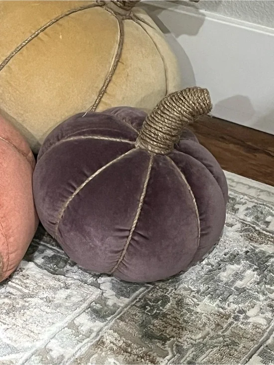 Rare Set of 2 Pottery Barn Velvet Pumpkin Pillows; Camel & Fig- NO Orange incl’d