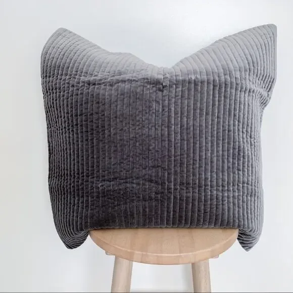 LAST CHANCE 🤍 Restoration Hardware Tate Velvet Channel Euro Sham