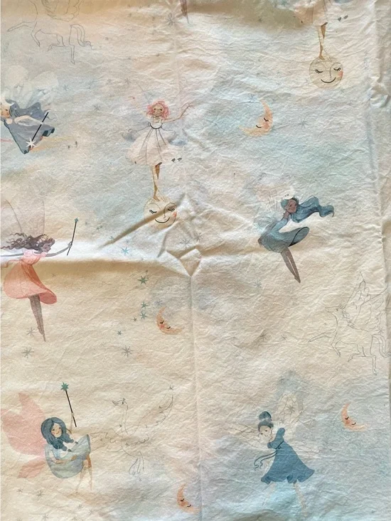 Pottery Barn Kids Celeste Fairy Pillowcase