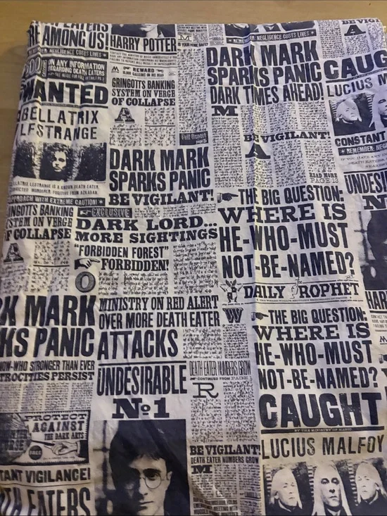🍾 Pottery Barn Teen Harry Potter daily prophet QUEEN FLAT SHEET
