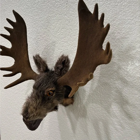 Brown Moose Head Wall Decor