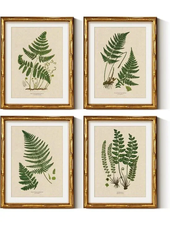Vintage Botanical Wall Art Set - 4pcs Bamboo Framed Fern Prints, 11x14