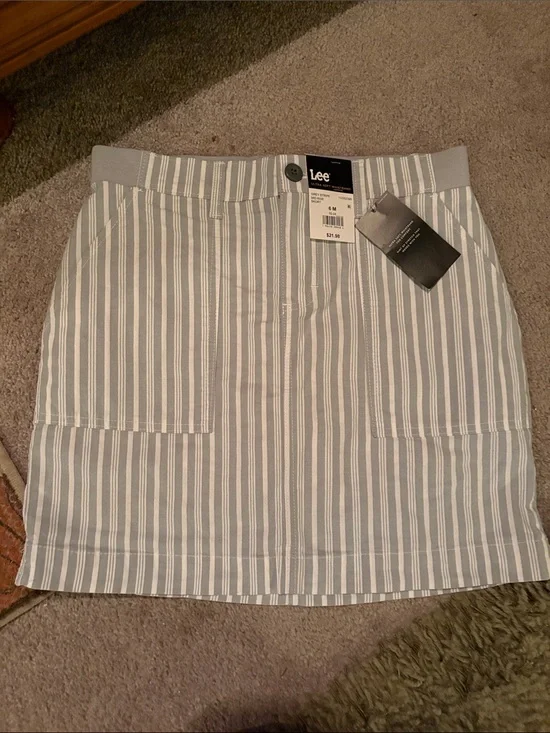 Lee Striped Mini Skirt in Blue and White