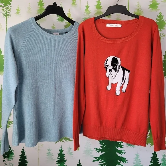 Two Sweaters Bundle.