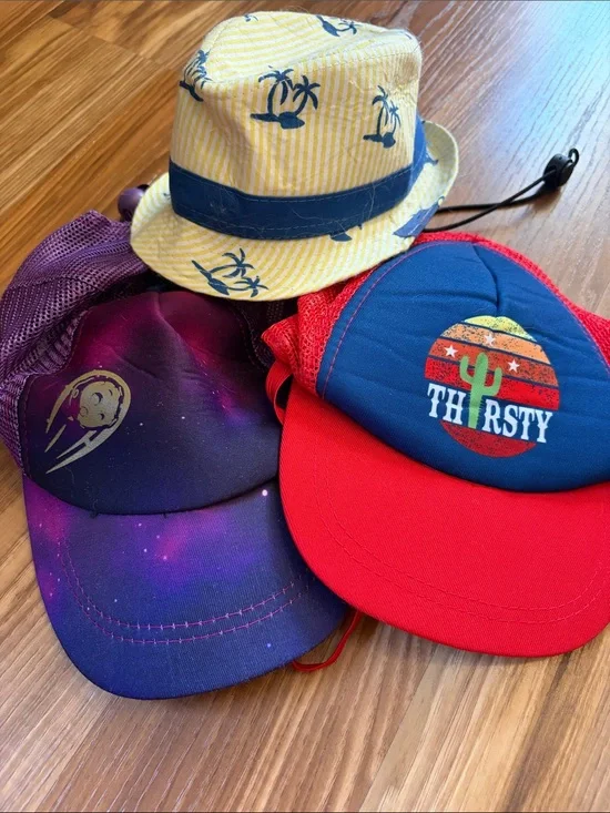 3 used dog hats