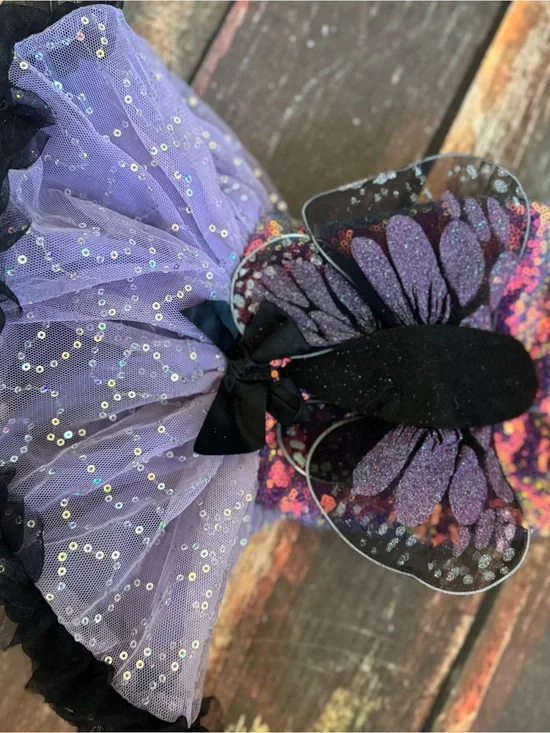3 Small Dog Halloween Costumes Dragon, Fairy, Butterfly Size S