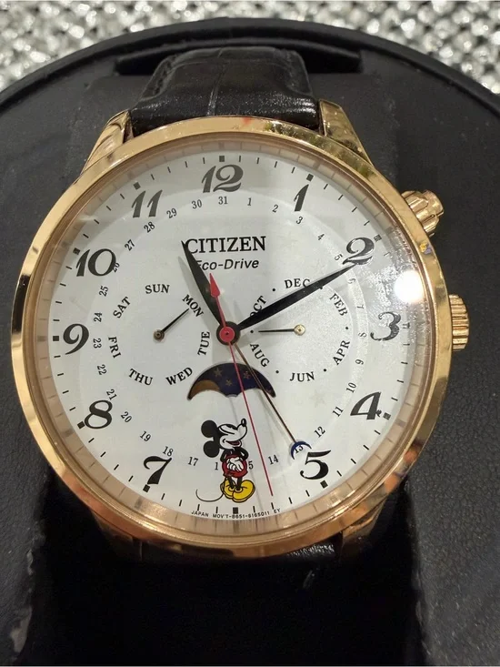 Citizen Men's Gold-Tone Case Watch with White Dial and Black Strap