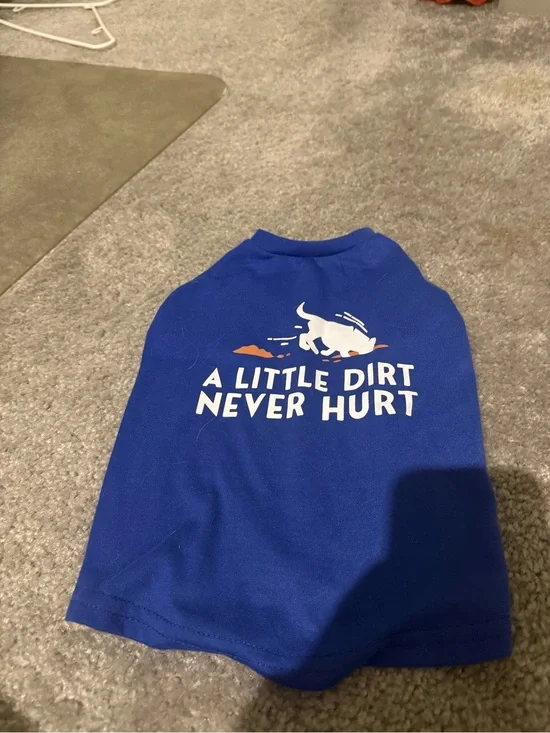 Blue 'A Little Dirt Never Hurt' Short Sleeve Top