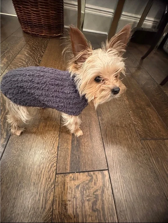 Cozy Navy Blue Dog Sweater for Small Dogs