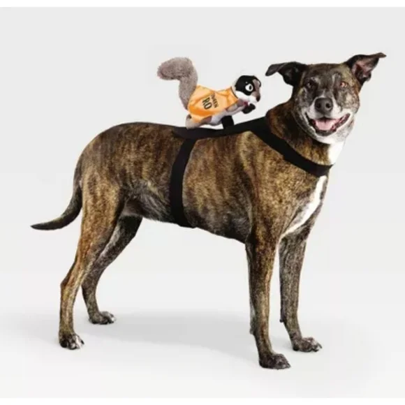 Hyde & Eek! Pet Superhero Squirrel Rider Costume Size XXS/XS