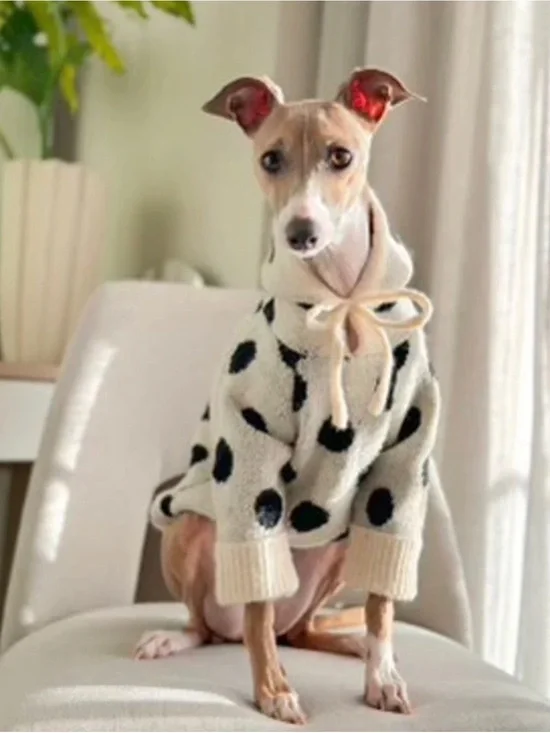 FURB VENICE IVORY + BLACK POLKA DOT DOG HOODIE
