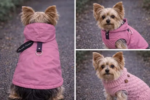 Lot Pink Small Dog Coat Set Quilted Rain Jacket with D Ring and Cable Knit