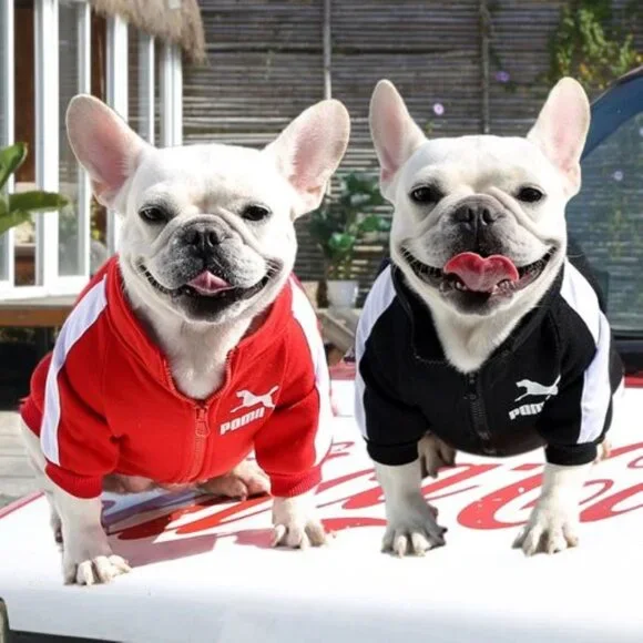 Dog/Puppy Pet-RED L POMII Designer Inspired Fleece Zip Up Jacket‎ Coat Apparel