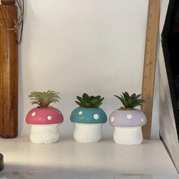 Set Of 3 Resin Mushrooms With Plastic Air Plants 4