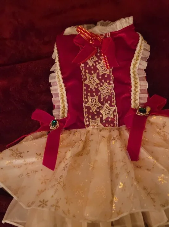 Burgundy and Gold Holiday Princess Costume Dress