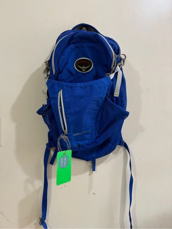 OSPREY Blue Daypack with White Trim