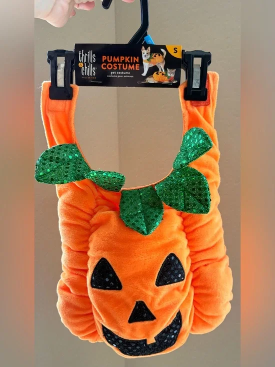 Orange Pumpkin Pet Costume