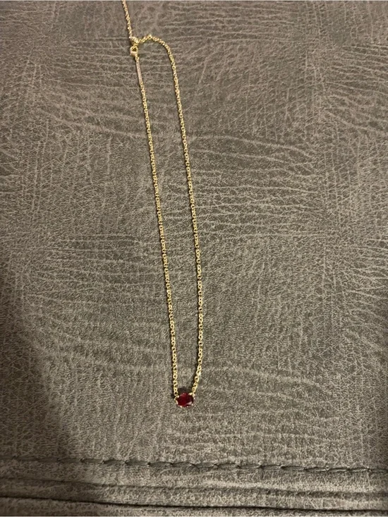 Gorjana Gold Necklace with Ruby Red Jewel