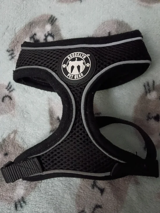 Black Breathable Dog Harness By Brooklyn Pet Gear