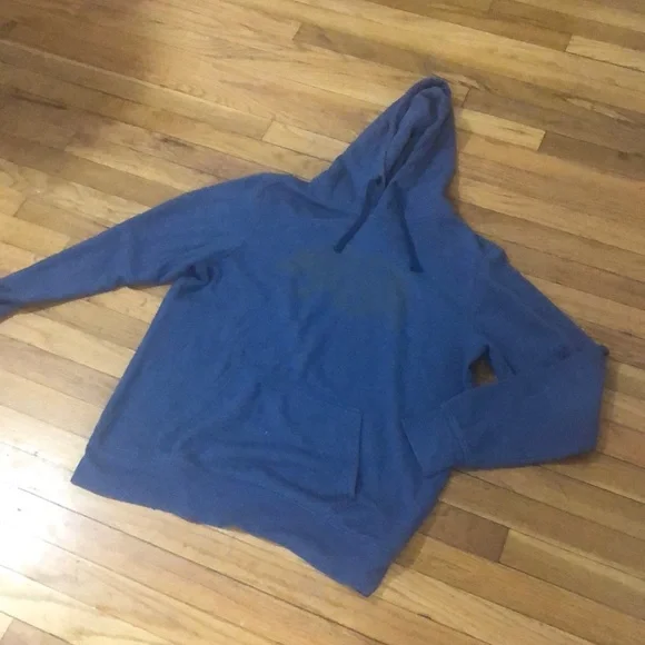 The North Face blue pullover sweatshirt with bear