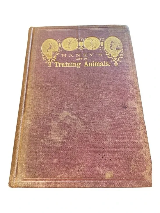 1869 