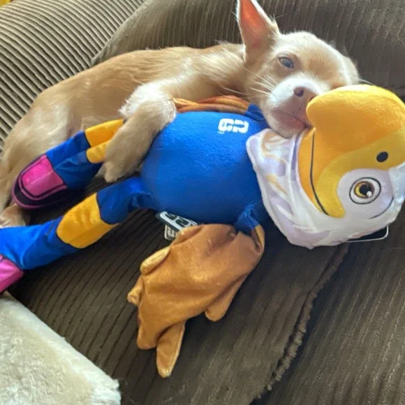Dog Toy/Plush/ Clutch FIFA World Cup Eagle/squeaky belly/crinkle wings and legs