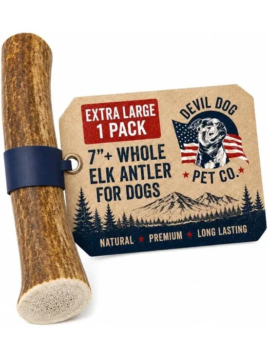 XL Whole Elk Antlers for Dogs - Durable Chew Toy for Aggressive Chewers