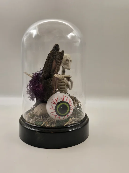 Skeleton & Eyeball Terrarium
